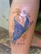for my boys koda and ashton